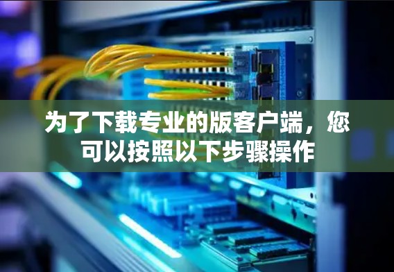 为了下载专业的版客户端，您可以按照以下步骤操作