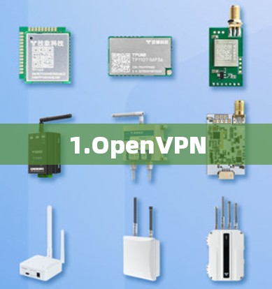 1.OpenVPN