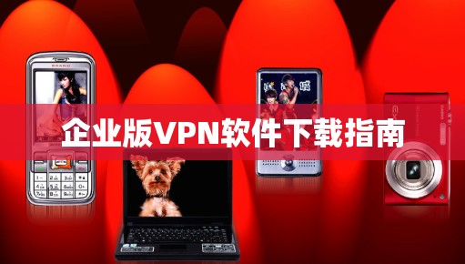 企业版VPN软件下载指南