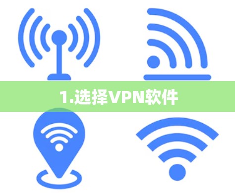 1.选择VPN软件