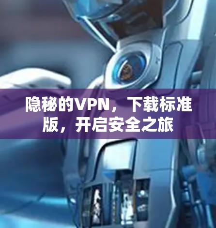 隐秘的VPN，下载标准版，开启安全之旅