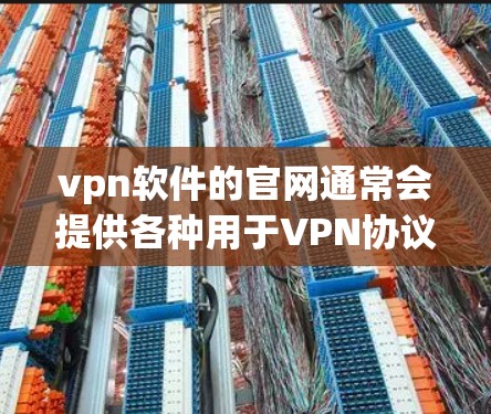 vpn软件的官网通常会提供各种用于VPN协议的软件，如VPN服务器、客户端或协议管理工具。以下是关于 popular VPNs 的官网链接，供用户访问
