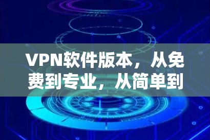 VPN软件版本，从免费到专业，从简单到复杂