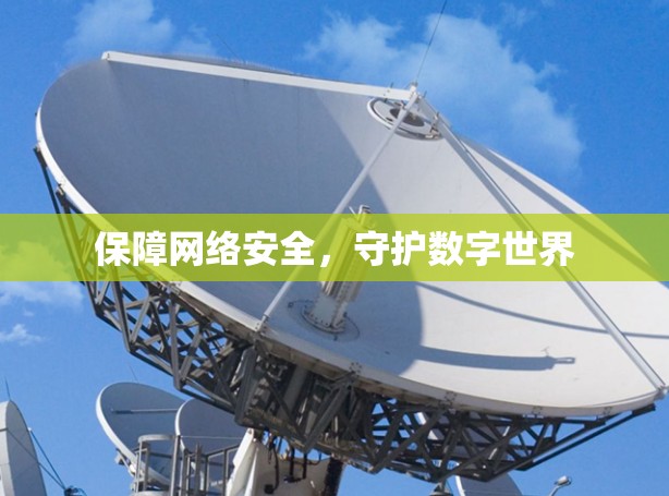 保障网络安全，守护数字世界