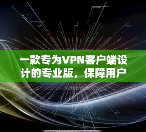 一款专为VPN客户端设计的专业版，保障用户安全与稳定