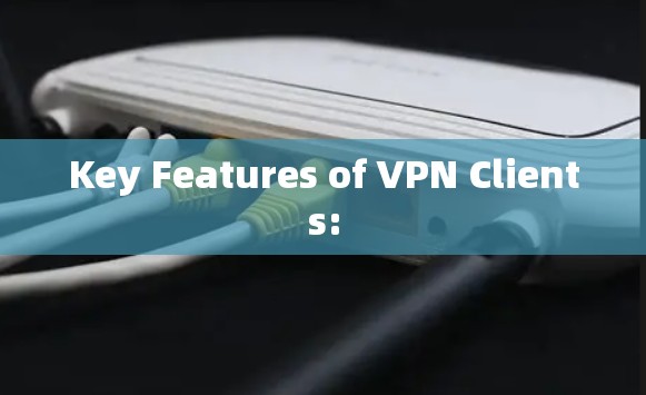 Key Features of VPN Clients: