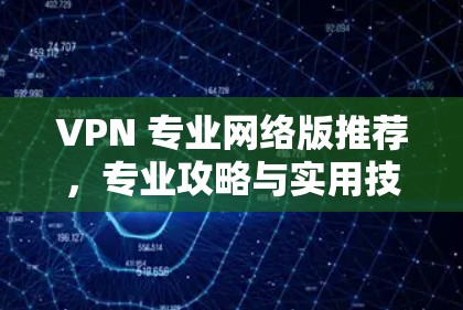 VPN 专业网络版推荐，专业攻略与实用技巧
