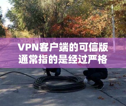 VPN客户端的可信版通常指的是经过严格的安全测试和安全评估的版本，以确保用户能够安全、可靠地使用网络服务。以下是一些可信版VPN客户端的最新版本推荐，供您参考