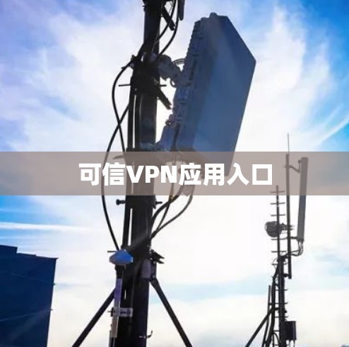 可信VPN应用入口
