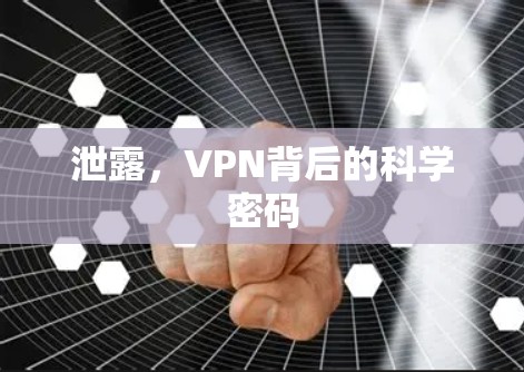 泄露，VPN背后的科学密码