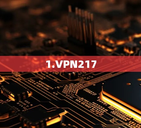 1.VPN217