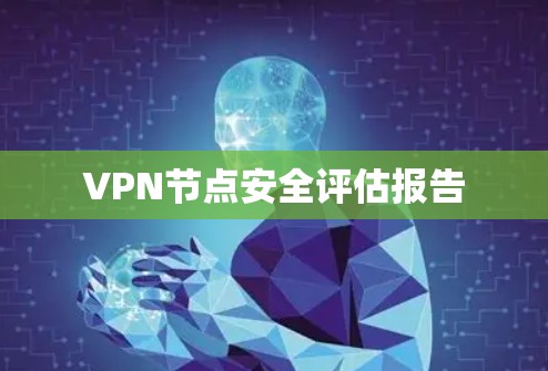 VPN节点安全评估报告