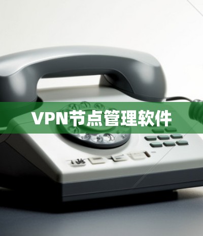 VPN节点管理软件