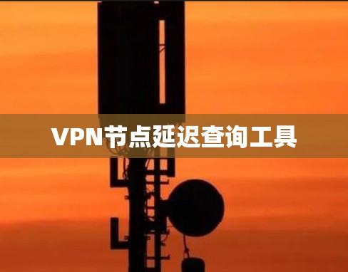 VPN节点延迟查询工具