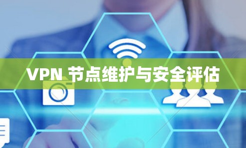 VPN 节点维护与安全评估