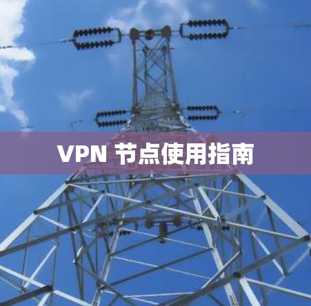 VPN 节点使用指南