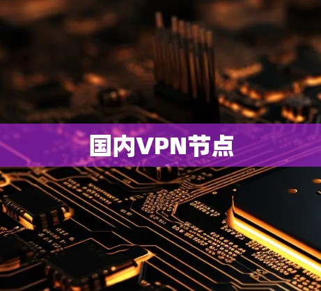 国内VPN节点