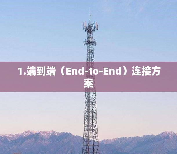 1.端到端（End-to-End）连接方案