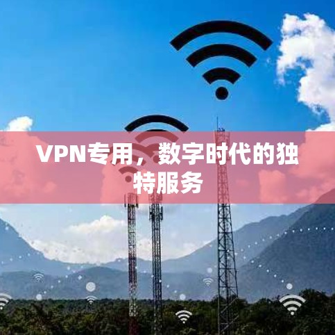 VPN专用，数字时代的独特服务