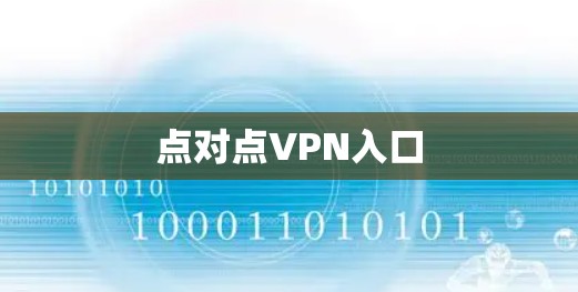 点对点VPN入口