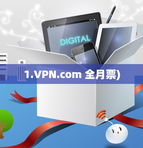 1.VPN.com 全月票)