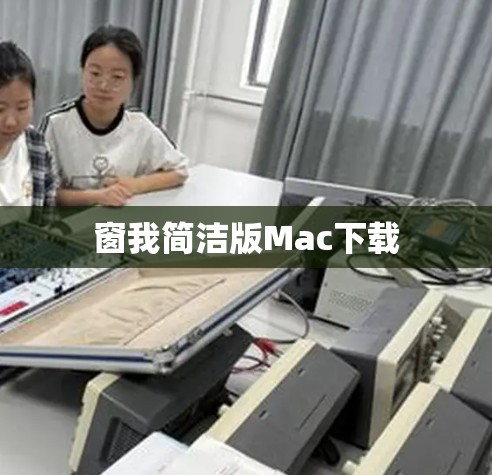 窗我简洁版Mac下载