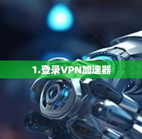 1.登录VPN加速器