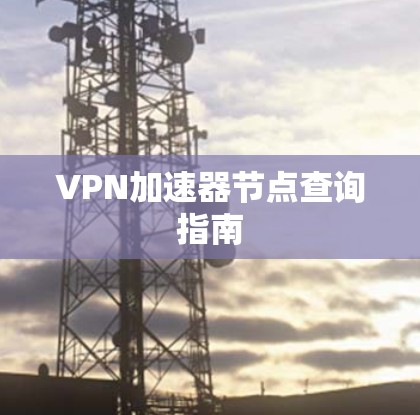VPN加速器节点查询指南