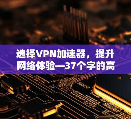 选择VPN加速器，提升网络体验—37个字的高效指南