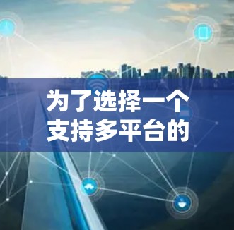 为了选择一个支持多平台的VPN加速器，以下是一个结构化的推荐和评价