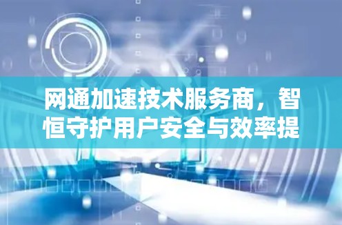 网通加速技术服务商，智恒守护用户安全与效率提升