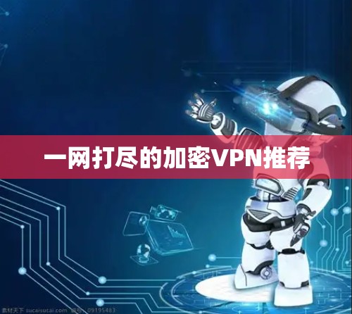 一网打尽的加密VPN推荐