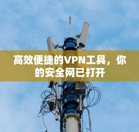 高效便捷的VPN工具，你的安全网已打开
