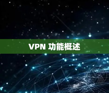 VPN 功能概述
