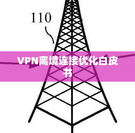 VPN离境连接优化白皮书