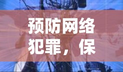 预防网络犯罪，保障网络安全，在服务双减时代的 VPN服务中心