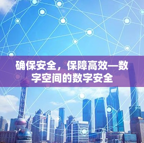 确保安全，保障高效—数字空间的数字安全