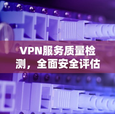 VPN服务质量检测，全面安全评估报告