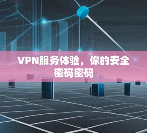 VPN服务体验，你的安全密码密码