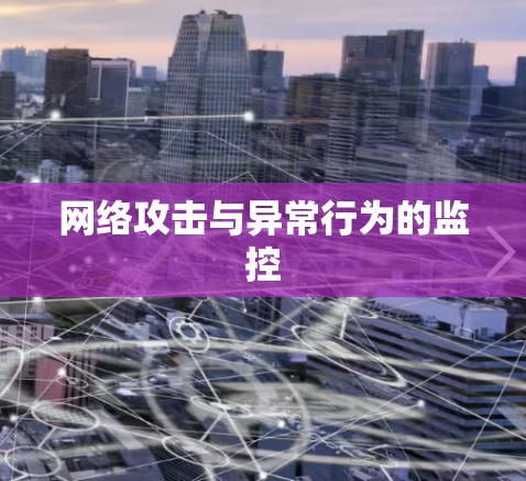 网络攻击与异常行为的监控