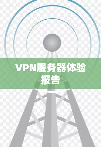VPN服务器体验报告