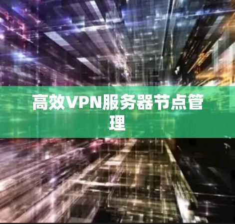 高效VPN服务器节点管理