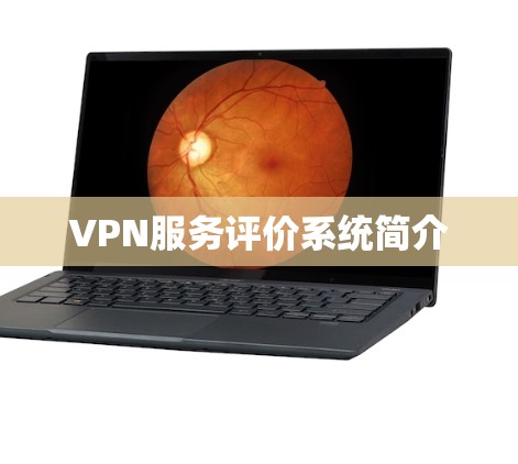 VPN服务评价系统简介