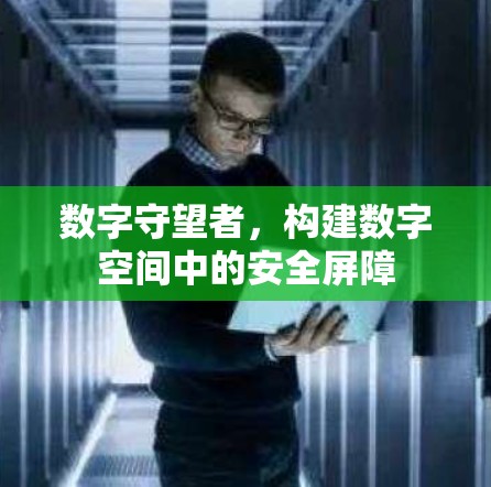 数字守望者，构建数字空间中的安全屏障