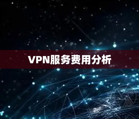 VPN服务费用分析