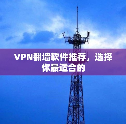 VPN翻墙软件推荐，选择你最适合的