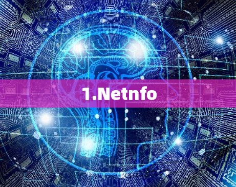 1.Netnfo