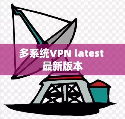 多系统VPN latest 最新版本