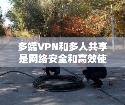 多端VPN和多人共享是网络安全和高效使用的有效方法。以下是详细的步骤和方法，帮助您更好地理解如何使用共享IP VPN 和多人共享功能