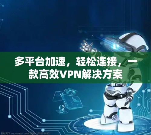 多平台加速，轻松连接，一款高效VPN解决方案